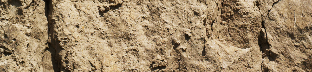 Löss; soil; boden; mantlerhof; Weingut; Veltliner; Trockenrasen; bio; organic;