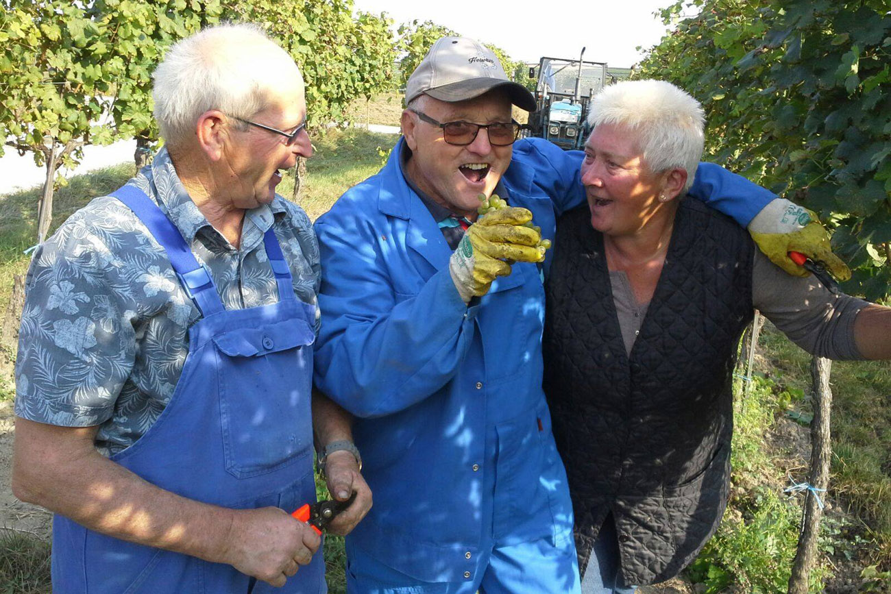 lese team; lese; ernte; harvest; Mantlerhof; weingut; bio; organic